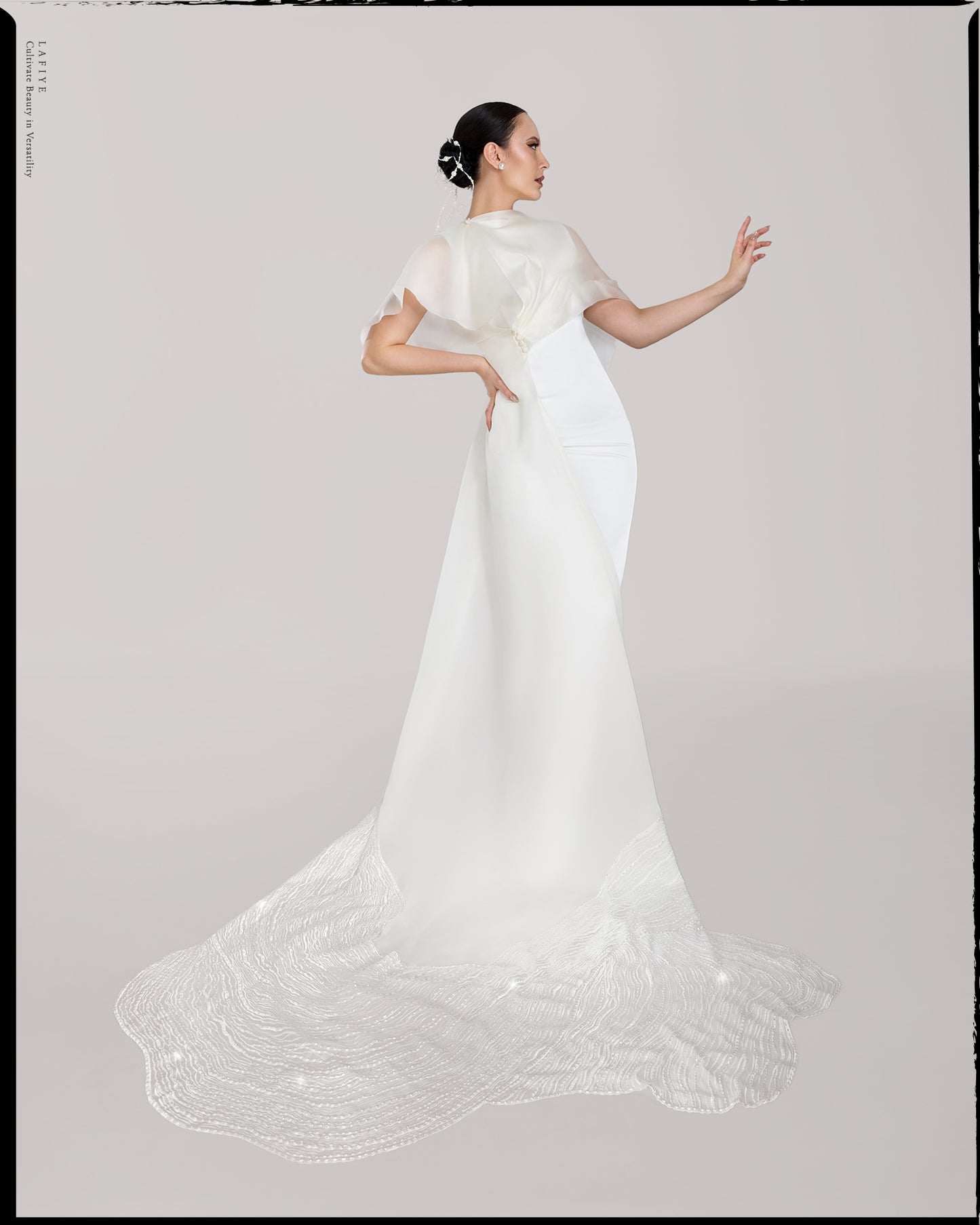 Embellished Nue Embroidery Organza Silk Dress Train