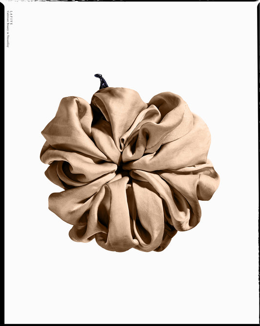 Silk Scrunchie in Aurea
